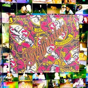 Harry Potter Gryffindor wallet:)